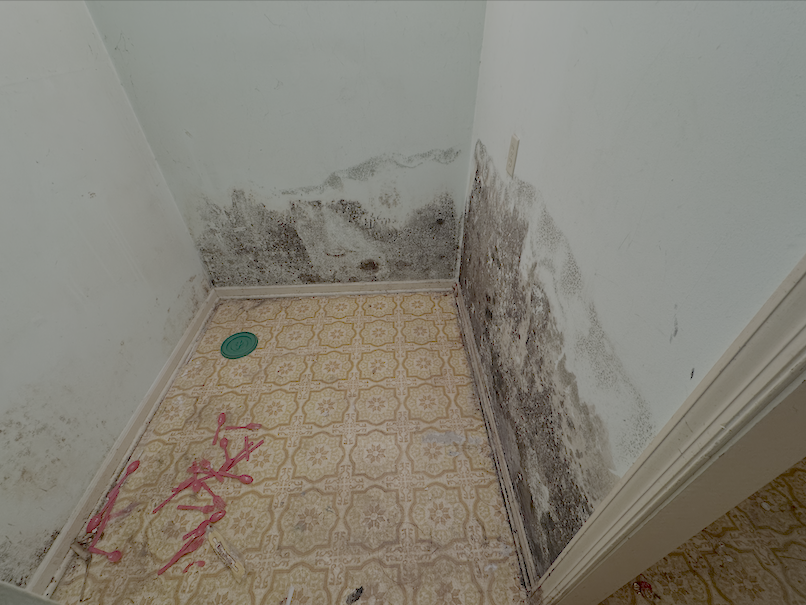 Mold Testing Greensboro - Certified Mold Inspection & Lab Analysis
