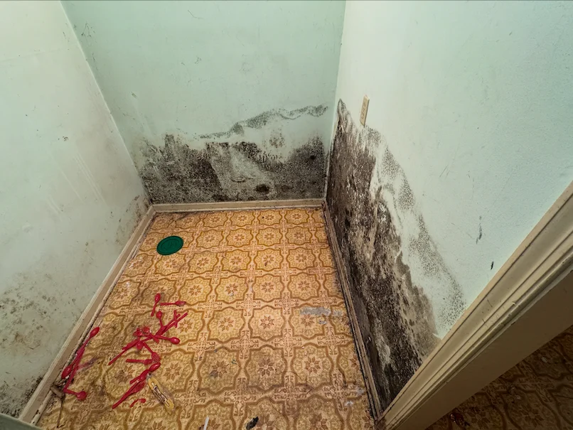 Mold testing service in Greensboro, NC — Home Spectors mold inspection