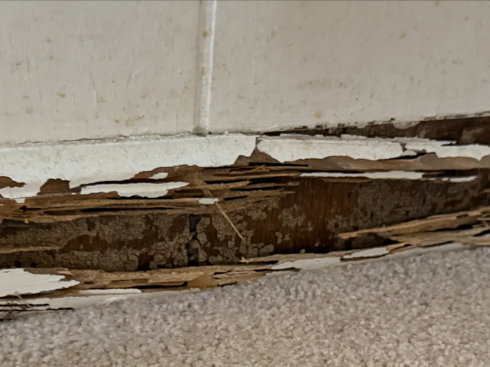 Termite inspection service in Greensboro, NC — Home Spectors WDIR / NPMA-33 inspection