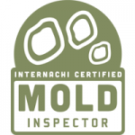 providing mold testing in greensboro and raleigh