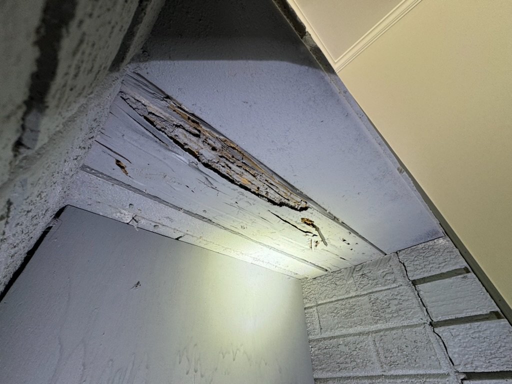 Termite mud tubes and beam damage found during a home inspection in Raleigh, NC – Homespectors expert pest and structural assessments.